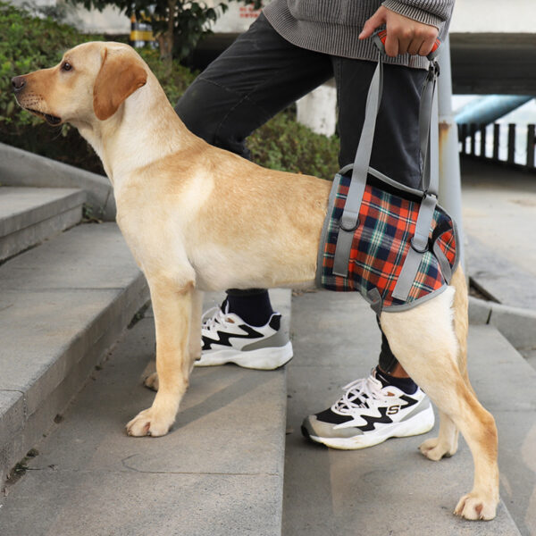 589943506 Pet Dog Leg Support Harness for Post-Surgery Recovery, Elderly Dogs, Large Breed Walking Assistance Brace