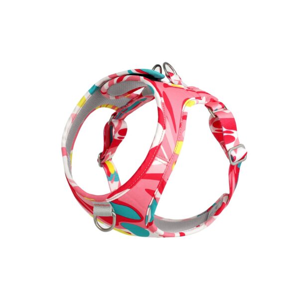 Printed Pet Chest Strap Anti-Breakaway Dog Leash Small And Medium-Sized Dogs Traction Rope