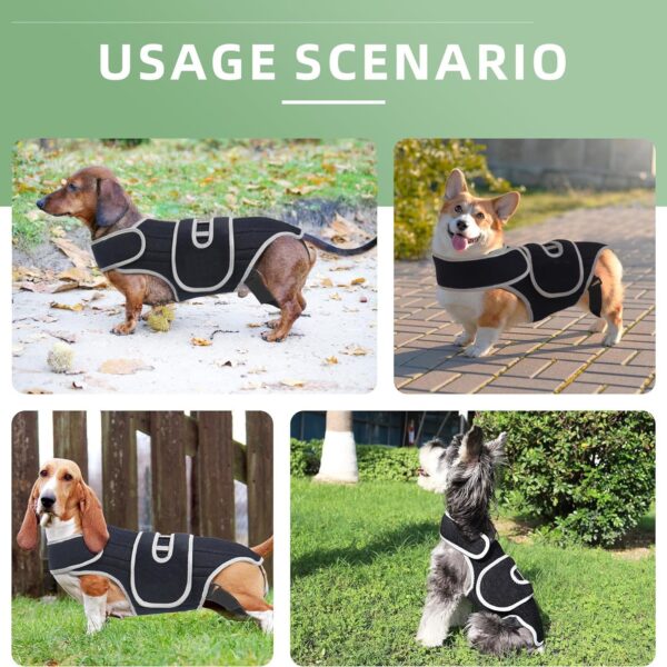 589943227 Pet Support Vest for Dogs with Intervertebral Disc Injury, Back Fracture Protection Belt, Large Dog Lumbar Support