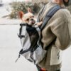 775886497594.jpg Pet Dog Carrier Bag Carrier For Dogs Backpack Out Double Shoulder Portable Travel Backpack Outdoor Dog Carrier Bag Travel