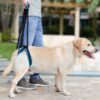 589943104 New Adjustable Dog Lift Harness for Back Legs Pet Support Sling Help Weak Legs Stand Up Pet Dogs Aid Assist Tool