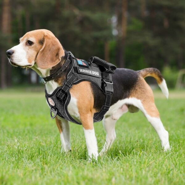 New Explosion-Proof Shock-Absorbing Comfortable Pet Chest Harness Dog Vest-Type Traction Chest Harness