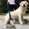 589943105 New Adjustable Dog Lift Harness for Back Legs Pet Support Sling Help Weak Legs Stand Up Pet Dogs Aid Assist Tool