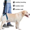 589943103 New Adjustable Dog Lift Harness for Back Legs Pet Support Sling Help Weak Legs Stand Up Pet Dogs Aid Assist Tool