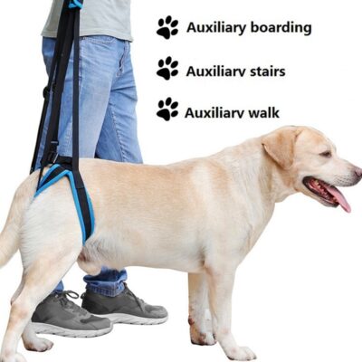 589943103 New Adjustable Dog Lift Harness for Back Legs Pet Support Sling Help Weak Legs Stand Up Pet Dogs Aid Assist Tool