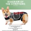 589943225 Pet Support Vest for Dogs with Intervertebral Disc Injury, Back Fracture Protection Belt, Large Dog Lumbar Support