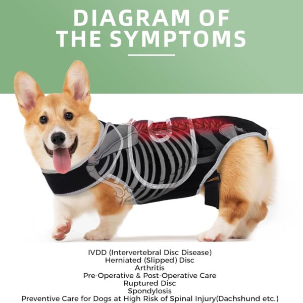 589943225 Pet Support Vest for Dogs with Intervertebral Disc Injury, Back Fracture Protection Belt, Large Dog Lumbar Support