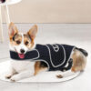 589943226 Pet Support Vest for Dogs with Intervertebral Disc Injury, Back Fracture Protection Belt, Large Dog Lumbar Support