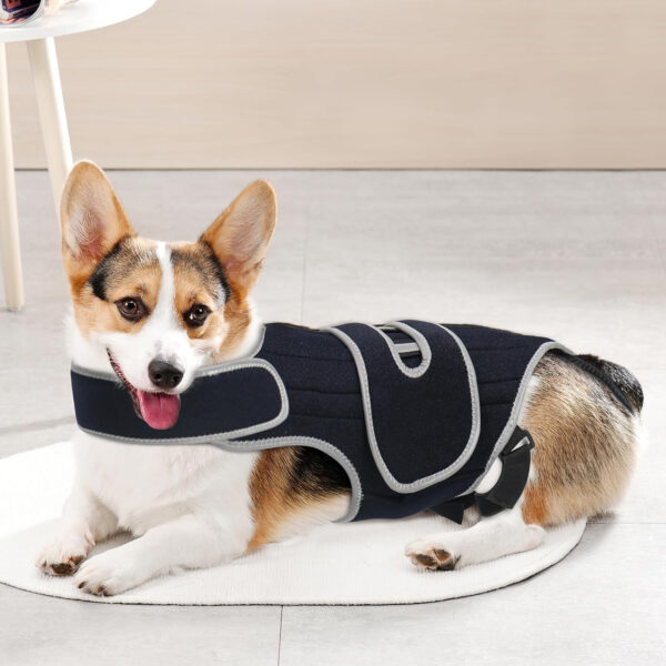 589943226 Pet Support Vest for Dogs with Intervertebral Disc Injury, Back Fracture Protection Belt, Large Dog Lumbar Support