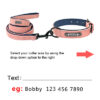 589943618 Custom Dog Collars Leather Personalized Pet Dog Tag Collar Leash Lead For Small Medium Large Dogs Pitbull Bulldog Pugs Beagle