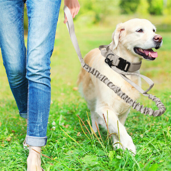 589943361 Tactical Collar Pet Collar Nylon Outdoor Dog Leash Adjustable Large and Medium Dog Collar Dog Collar