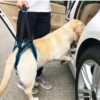 589943106 New Adjustable Dog Lift Harness for Back Legs Pet Support Sling Help Weak Legs Stand Up Pet Dogs Aid Assist Tool