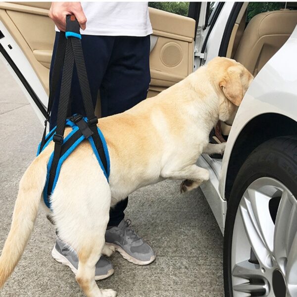 589943106 New Adjustable Dog Lift Harness for Back Legs Pet Support Sling Help Weak Legs Stand Up Pet Dogs Aid Assist Tool