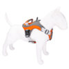 589943516 Pet Supplies Reflective Chest Strap Medium And Large Dogs Explosion-Proof Rush Dog Harness