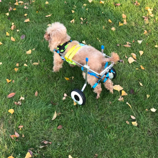 589943088 Dog Wheelchair Dog Car Disabled Dog Car Pet Wheelchair Scooter