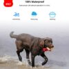 589943388 1000ft Range Dog Training Collar Waterproof Electric Shock Vibration Sound Dogs Bark Collar for Small Medium Large Dogs Trainer