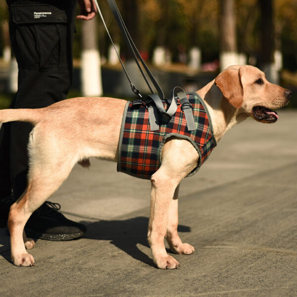 589943504 Pet Dog Leg Support Harness for Post-Surgery Recovery, Elderly Dogs, Large Breed Walking Assistance Brace