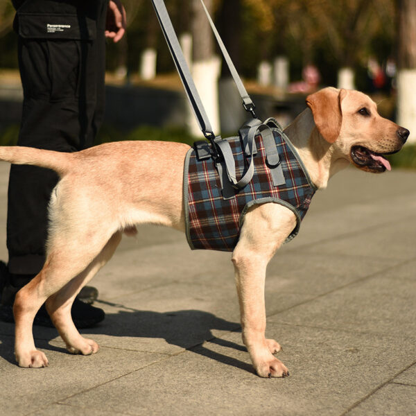 589943503 Pet Dog Leg Support Harness for Post-Surgery Recovery, Elderly Dogs, Large Breed Walking Assistance Brace