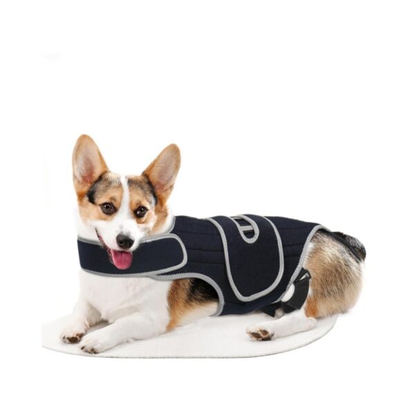 589943228 Pet Support Vest for Dogs with Intervertebral Disc Injury, Back Fracture Protection Belt, Large Dog Lumbar Support