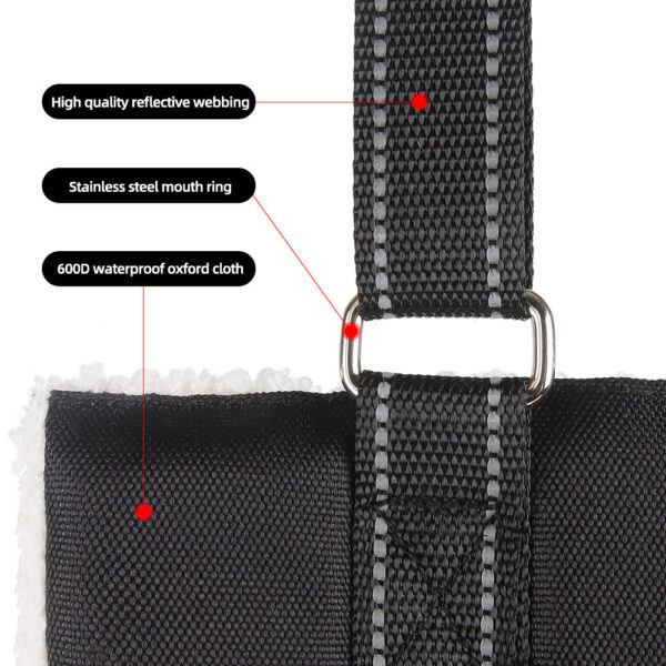 Adjustable dog leash with pet assistance strap