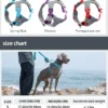 Reflective Pet Dog Harness Pet Dog Training Vest for Medium Big Large Dogs Adjustable Outdoor Harness Vest Collar Service Dog