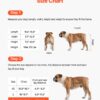 a420e2eb-fa02-44dd-a3b8-39c4af9f8712.jpg Dog Wheelchair For Back Legs, Adjustable 2 Wheels Pet Wheelchair, Lightweight Dog Cart With Shock-Absorbing Wheels, Mobility Support Wheel Chair For Disabled Injured Dogs Up To 33lbs, Medium