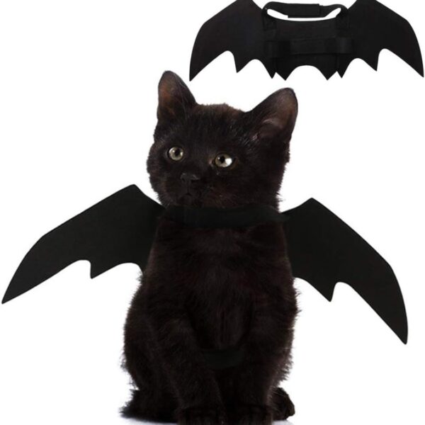 d35bd92b-684e-4e0b-b047-21e586430241.jpg Pet Cat Bat Wings For Halloween Party Decoration, Puppy Collar Leads Cosplay Bat Costume,Cute Puppy Cat Dress Up Accessories