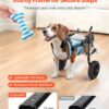 f798f107-66bf-4ca4-ac19-3f350dc20aa2.jpg Dog Wheelchair For Back Legs, Adjustable 2 Wheels Pet Wheelchair, Lightweight Dog Cart With Shock-Absorbing Wheels, Mobility Support Wheel Chair For Disabled Injured Dogs Up To 22lbs, Small